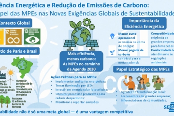 Documento: [Infográfico Eficiência Energética e Redução de CO2]